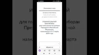 как я голосовал за президента