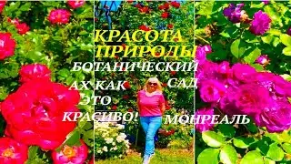 Ботанический Сад Монреаль #розы #цветы #природа #shorts