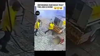Hilarious - The Job is Done - MLB 🤣🤣 | #shorts #daily_life_quotes