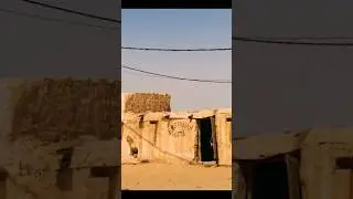 Жара и холодное пиво