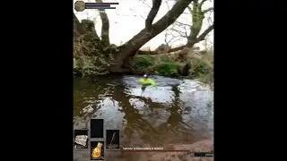 When you accidentally triggered a secret boss fight