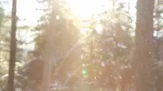 Истории. Алиса Меркулова