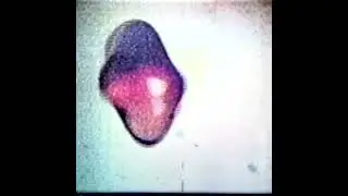 Sequence 01