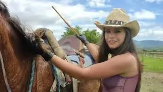 Cruel horse riding 