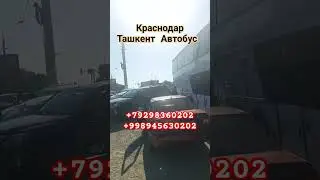 Краснодар Ташкент Автобус #тошкент #краснодар #автобус #краснодар #тикток #ташкент #анапа #тошкент