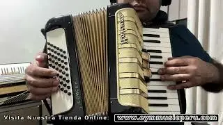 Acordeon Concerto I de Importacion (Seminuevo)