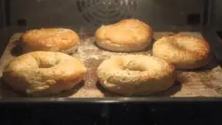 Bagel timelaps