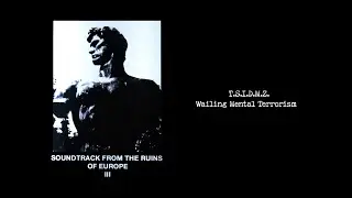 T.S.I.D.M.Z. - Wailing Mental Terrorism [Soundtrack From The Ruins Of Europe III - Album Teaser]