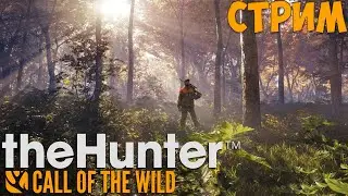 🔴The Hunter Call of The Wild - Охота на животных🔴