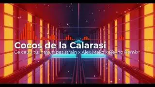 Cocos De La Calarasi - Ce Cauti Tu Intr Un Pat Strain |  Alex_Mako & Reyno Remix
