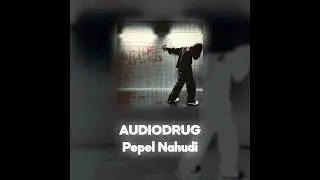 Pepel Nahudi - AUDIODRUG (Акапелла / Acapella)