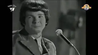 The Fortunes - You've Got your Troubles