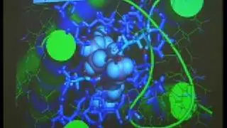 David Nichols @ LSD Symposium 2006 (2/2)