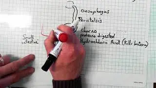 2018 03 12 12 29 27 797