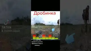 Дробинка. Поиск с металлоискателем.