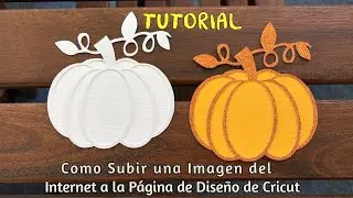 Como Utilizar una Imagen del Internet en la Página de Diseño de Cricut