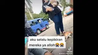 Kucing jalanan pasar 🥺😭ll yuu peduli kucing jalanan sedikit namun berkah😇🙏#tiktok
