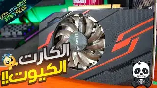 اكتر كارت شاشة كيوت و رخيص هتشوفه في حياتك 🤣🥺 GIGABYTE GT 1030 2GB GDDR5