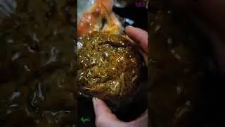 достойная альтернатива мясу  | веган распаковка на полтора косаря | 9 дней  