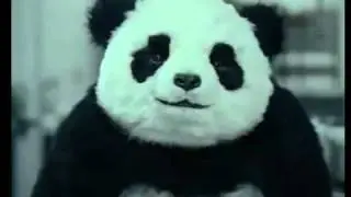 Never say no to Panda!
