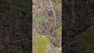 Извадено имане или безсмислено копане