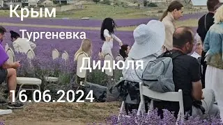 Концерт Дидюли в Крыму 16.06.2024