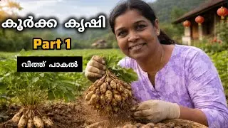 കൂർക്ക കൃഷി|Part 1| വിത്ത് പാകൽ