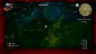 The Witcher 3 - Death March