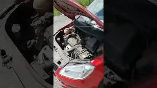 Осмотр Skoda Fabia у офицалов .