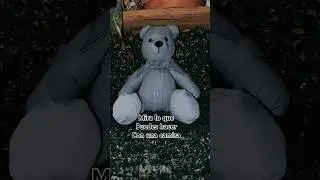 Osito memorial #music #song #alesacasa #ositos #diy