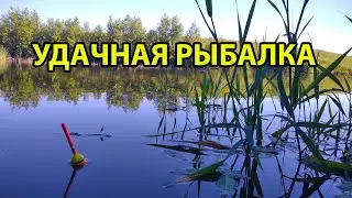 Хорошая рыбалка в конце августа 2022 !