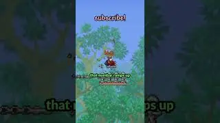 the weirdest damage in terraria