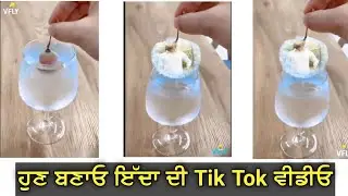 Tik Tok New trend | Frozen grapes Tiktok Video | glass me photo | glass tutorial video editing