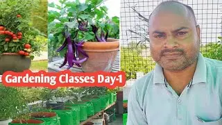Online Gardening Class || iHome Garden is live