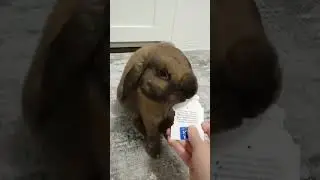 избавляемся от картона 💕😍💜