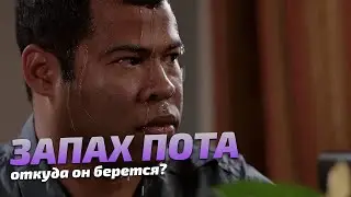 Откуда берется запах пота?