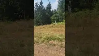Ski centar Kopaonik 2024
