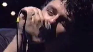Green Day- Macy's Day Parade (Live)
