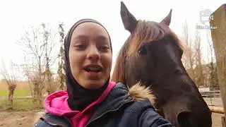 Voorstelvideo! { dreamhorselola }