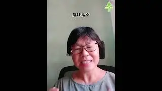 道德小尖兵系列 故事丛书《失而复得的钞票》 李慧慧著