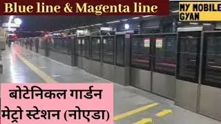 Botanical garden metro station || Noida sec 37 || Magenta line || Blue line || Delhi metro