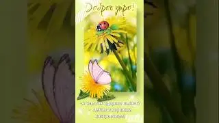 Доброго утра! Прекрасного настроения Вам!
