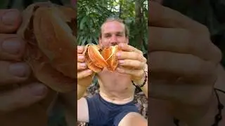Brown Sugar Fruit