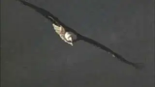 Jan-Michael Vincent - Eagle Serenade