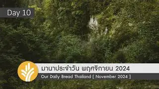 มานาประจำวัน 10 November 2024 พระเจ้าทรงมองเห็นคุณ