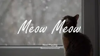 PlaylistㅣStill cold ! Hug your furry friends 😽 아직 춥쟈나 ~ 들으면 따수워지는 플레이리스트 🔥