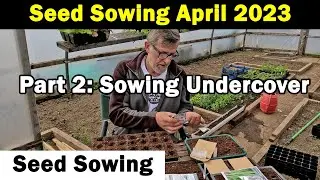 Seeds to Sow in April | Seed Sowing in April 2023 | Vegetable Seed Sowing | Green Side Up