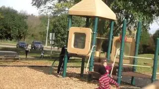 Vlog| A day at the park
