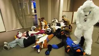 Macro Furs At Eurofurence 22: Paws and Cuddle Scenes Part 2