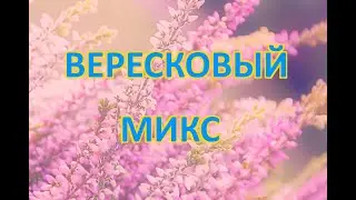 Настойка вересковый микс